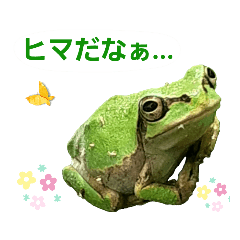 [LINEスタンプ] 野生のカエル15(何気ないつぶやき)