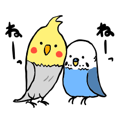 [LINEスタンプ] セキセイとオカメの日常会話