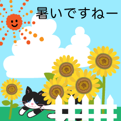 [LINEスタンプ] 夏の花いっぱいと猫 夏の挨拶と日常の画像（メイン）