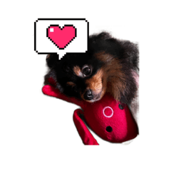 [LINEスタンプ] 塩対応オトメうにちゃん
