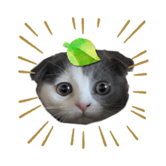[LINEスタンプ] とむすたんぷ！2