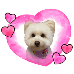 [LINEスタンプ] くまうさぎととろ