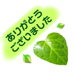 [LINEスタンプ] 可愛い葉っぱスタンプ