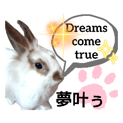 [LINEスタンプ] 〜ポジティブなEnglishフレーズ〜生き物編