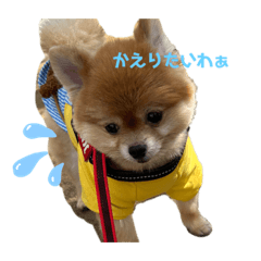 [LINEスタンプ] まめうにぽちゃ
