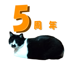 [LINEスタンプ] 木更津猫チョビすけ_05