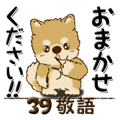 [LINEスタンプ] 柴犬・ちゃちゃ丸39『敬語』の画像（メイン）