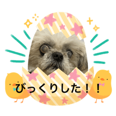 [LINEスタンプ] くんにちはの画像（メイン）
