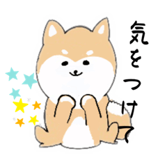 [LINEスタンプ] しば犬ちゃん4