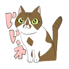 [LINEスタンプ] カツォとイクラのスタンプ