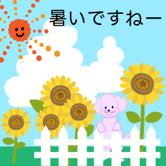 [LINEスタンプ] 夏の花いっぱいと犬_夏の挨拶と日常の画像（メイン）