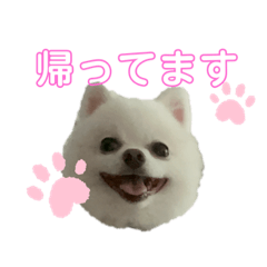 [LINEスタンプ] AO＆HARU①