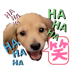 [LINEスタンプ] 日常スタンプ  ROI