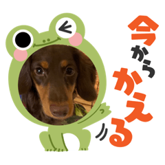 [LINEスタンプ] ゆかいな息子たちスタンプ