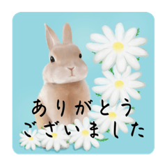 [LINEスタンプ] ぴよの絵にっき 12