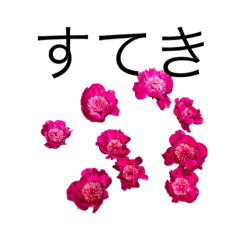 [LINEスタンプ] 花 dodoスタンプ281flowerの画像（メイン）