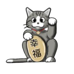 [LINEスタンプ] ねことシャチのスタンプ