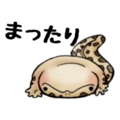 [LINEスタンプ] オオサンショウウオとチベットスナギツネ 2