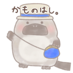 [LINEスタンプ] かものはし。の日常スタンプ