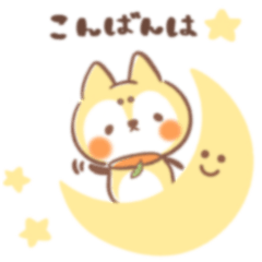 [LINEスタンプ] mochi柴-モチタロ-