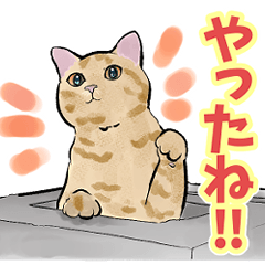 [LINEスタンプ] つなまよイラストスタンプ