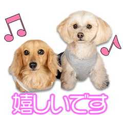 [LINEスタンプ] 池田家のまめ＆あずきちゃん2