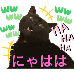 [LINEスタンプ] 黒猫 ルナ院長100にゃんめ