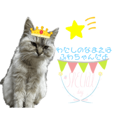 [LINEスタンプ] ふわちゃんセット！