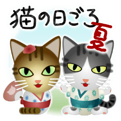 [LINEスタンプ] 猫の日ごろ26 仲良しガラ猫の夏