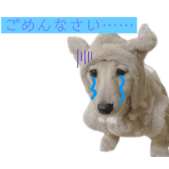 [LINEスタンプ] kawaii animal⋆⸜♱⸝‍⋆