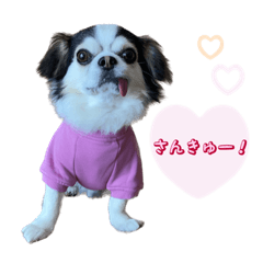[LINEスタンプ] お殿さまスタンプ