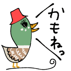 [LINEスタンプ] mottoの"かもね"♡鴨かも♪