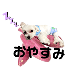 [LINEスタンプ] りくとお芋