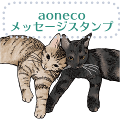 [LINEスタンプ] aonecoメッセージスタンプ