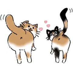 [LINEスタンプ] ぽっちゃり猫とツンデレ猫