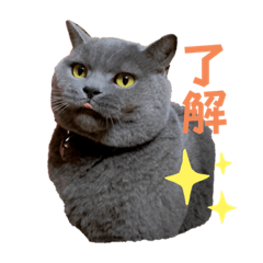 [LINEスタンプ] まるとりゅう