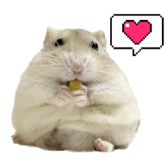 [LINEスタンプ] プディングハムスターのぽてちくん