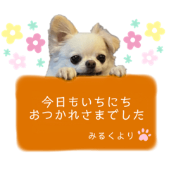 [LINEスタンプ] みるくのスタンプ♡3