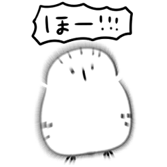 [LINEスタンプ] シンプル 白ふくろう 日常会話