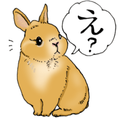 [LINEスタンプ] ウサギ達の日常スタンプ