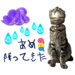 [LINEスタンプ] のあねろ⑦