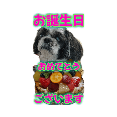 [LINEスタンプ] フルーツと癒しのDOG