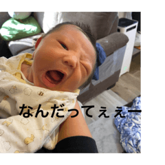 [LINEスタンプ] あおちんちんちんまるスタンプ