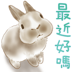 [LINEスタンプ] ウサギ家族 06-水彩風