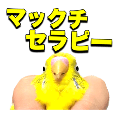 [LINEスタンプ] マックスくんのバリューマックチ