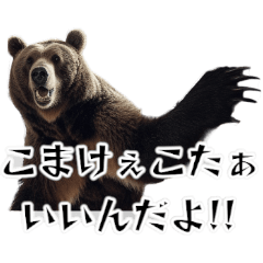 [LINEスタンプ] ⚫グリズリーベア～クマの逆襲～