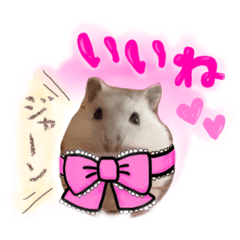 [LINEスタンプ] リコピンちゃん挨拶ハムスタんぷ