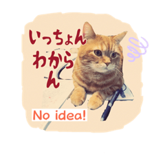 [LINEスタンプ] レイ君 鹿児島弁第二弾じゃっど【修正版】