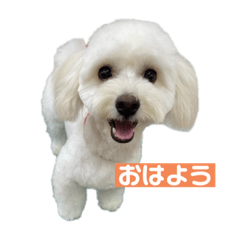 [LINEスタンプ] mochi820-2