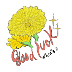 [LINEスタンプ] 花言葉になぞらえて